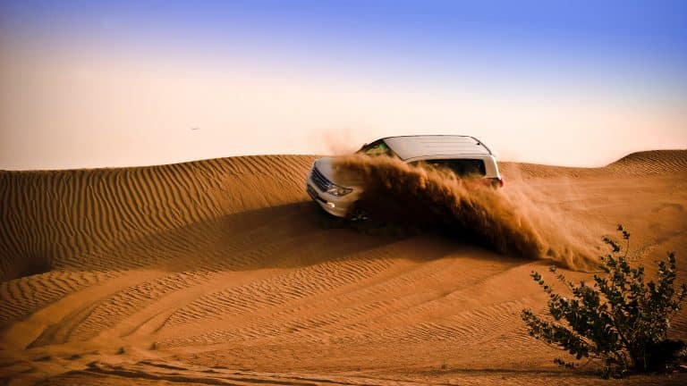 Fascinating and Adventurous Guide on your Desert Safari Dubai Tour?
